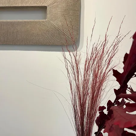 B3 Tsimiski Apartamento